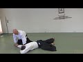 Aikido Bodo Rodel Riga april 2019