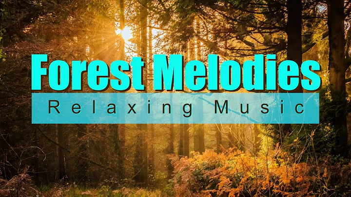 Forest Melodies.Relaxin...  Music with Sounds of N...