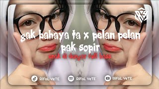 DJ GAK BAHAYATA X PELAN PELAN PAK SOPIR MENGKANE TERBARU 2023