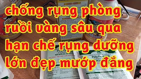 chống rụng khổ qua phòng ruồi vàng sâu đục quả dưỡng lớn trái thẳng đẹp trái chống nứt canxi bo ga3