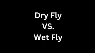 Dry Fly Vs  Wet Fly