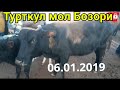 06.01.2019 Турткул мол бозори