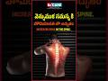 వెన్నుముక సమస్య కి హోమియోపతి అద్భుతం | The Natural Solution to Eliminate Back Pain - Dr. Care