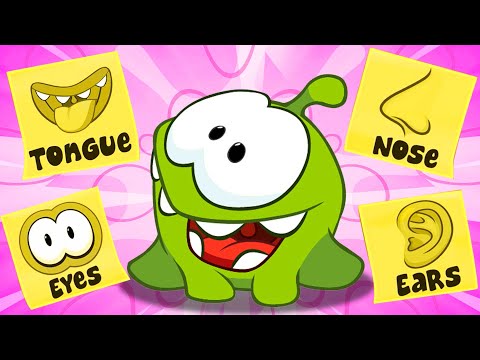 Learn Five Senses
