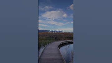 تلاوة خاشعة مؤثرة للقارئ اسلام صبحي #القرآن_الكريم #اكسبلور