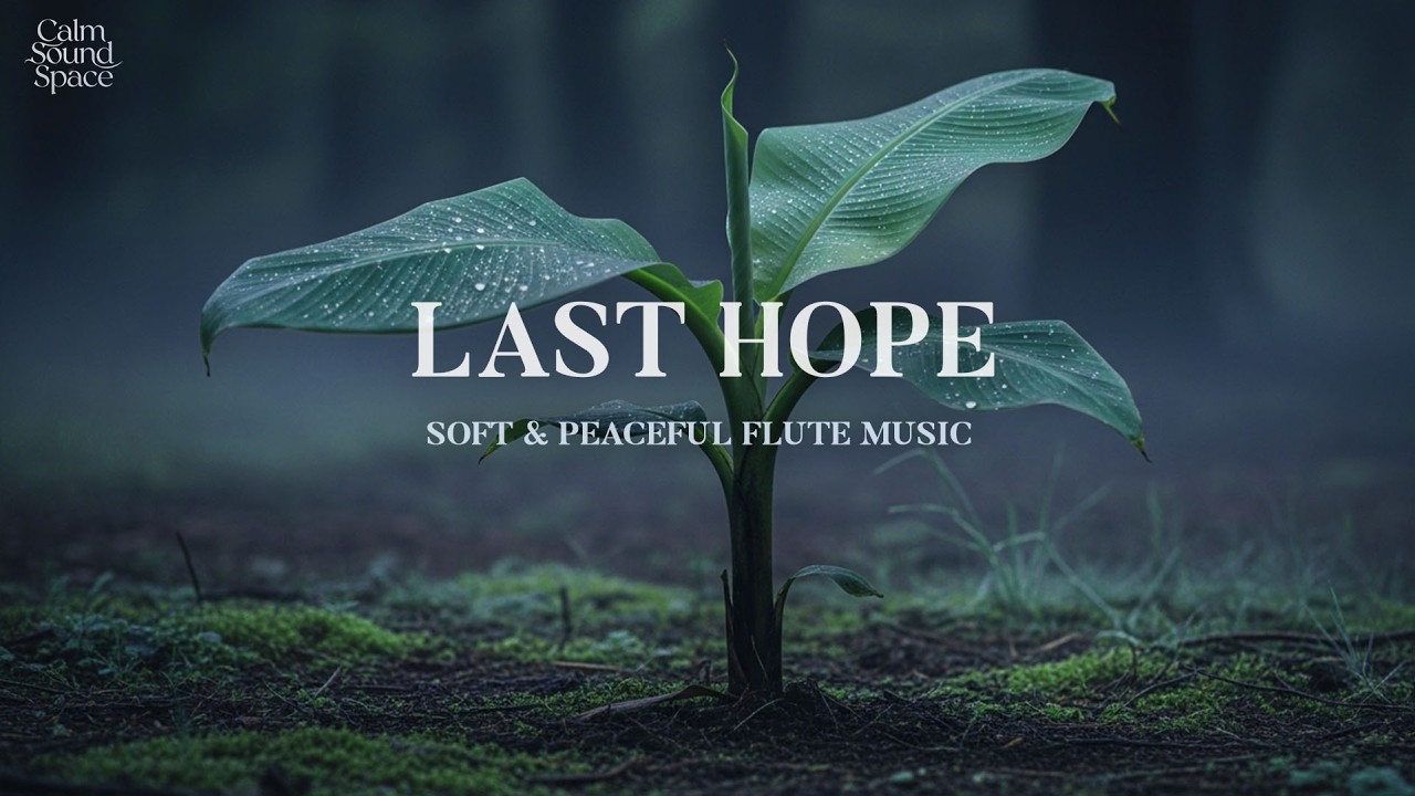 Gentle and soft flute melody for total night relaxation 🎶 bringing calm mind and deep sleep 😴🌌