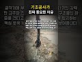기초공사가 진짜 중요한 이유#worker #process #viral #satisfying #foundation #heavyduty #machinery #piling #skills
