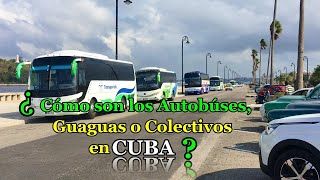 Como son los ómnibus o colectivos en Cuba.