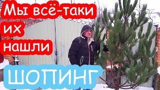 VLOG Купили сосны себе и Наде. Покупки в Эпицентре