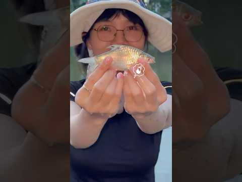 Sự khác nhau giữa tui và người ta khi đi câu cá P3 #fishing #cauca #mayfishing #caucathiennhien
