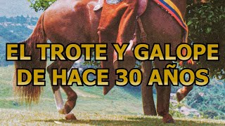 FENOTIPO_CADENCIA_YEGUAS_TROTONAS_GALOPERAS_ASOCABA_1993 #troteygalope #horse #shortsvideo