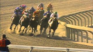 1996 Breeders' Cup Juvenile