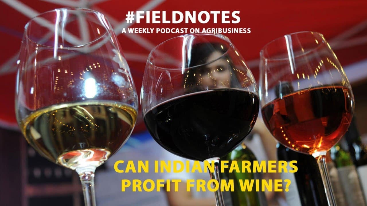 Can Indian farmers profit from wine?