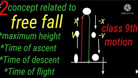 class9th,motion,Time of flight/ascent/descent,maximum height,#2concept related to#free fall