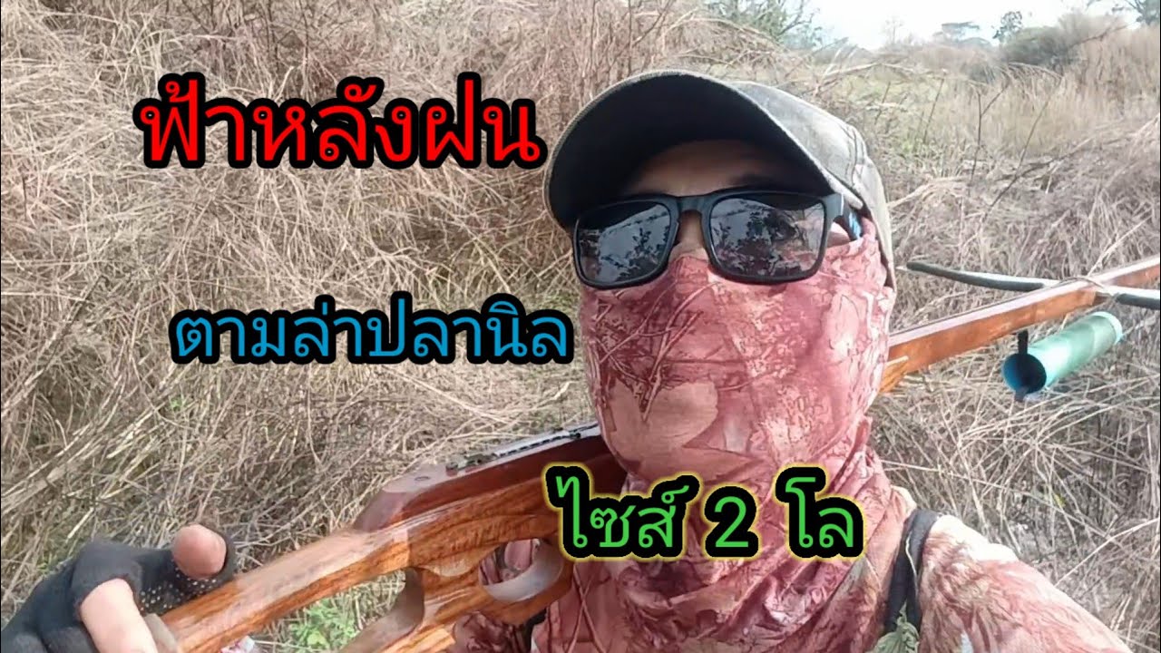 ฟ้าหลังฝน..ตามล่าปลานิล ไซส์ 2 โล