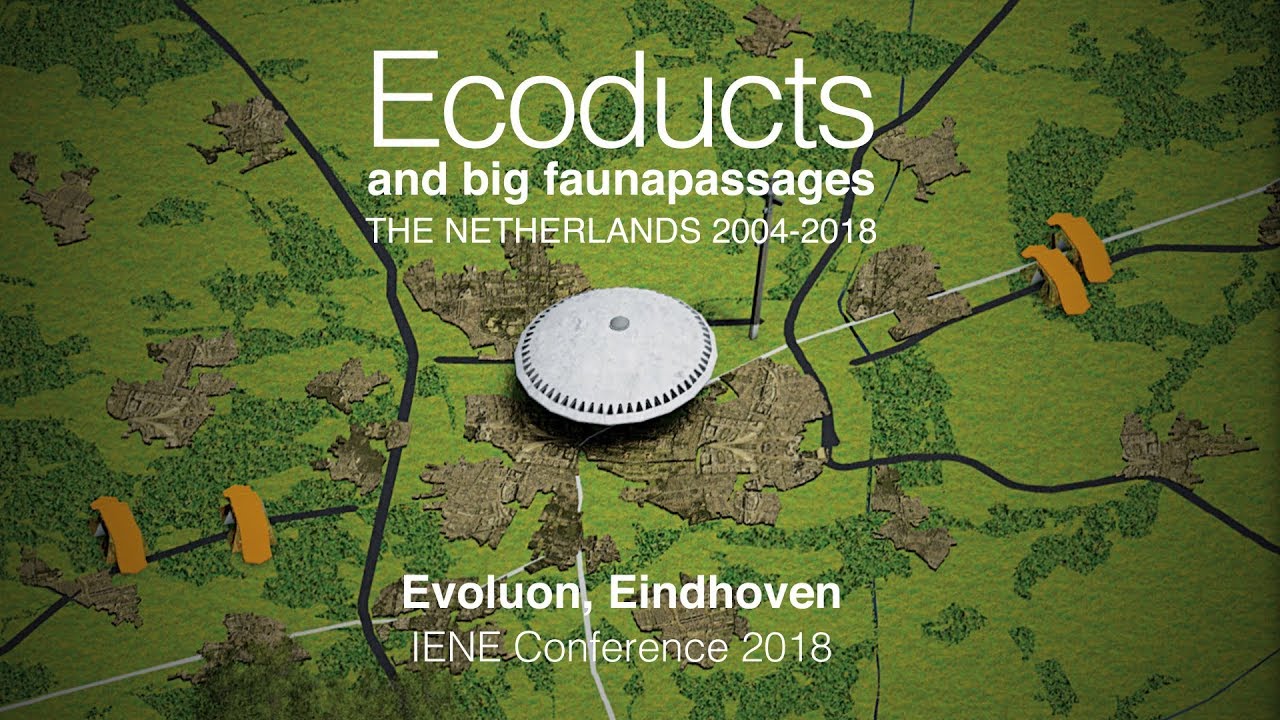 Ecoducten en grote faunapassages Nederland