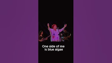 Thumbnail of Selda Bağcan - Öyle Bir Yerdeyim ki (English Subtitles): Mesmerizing Melodies from a Legendary Voice