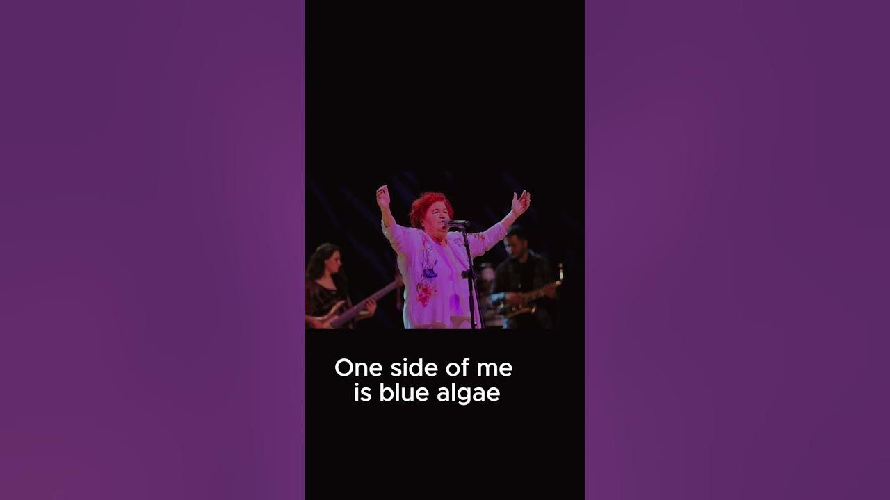 Selda Bağcan - Öyle Bir Yerdeyim ki (English Subtitles): Mesmerizing Melodies from a Legendary Voice