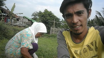 kocak Entah apa yang merasukimu |ibu tani video lucu kocak bikin NGAKAK..