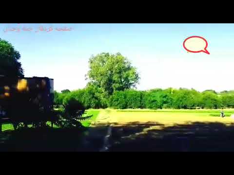 مدينه بارا شمال كردفــــــــــــان