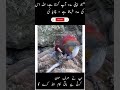 Those who do not help themselves, Allah does not help them."#trending #video #love #for vairalvideo