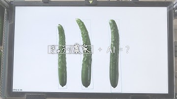 AIで創る未来 - 農業を次世代につなげるために。ある農家の挑戦。