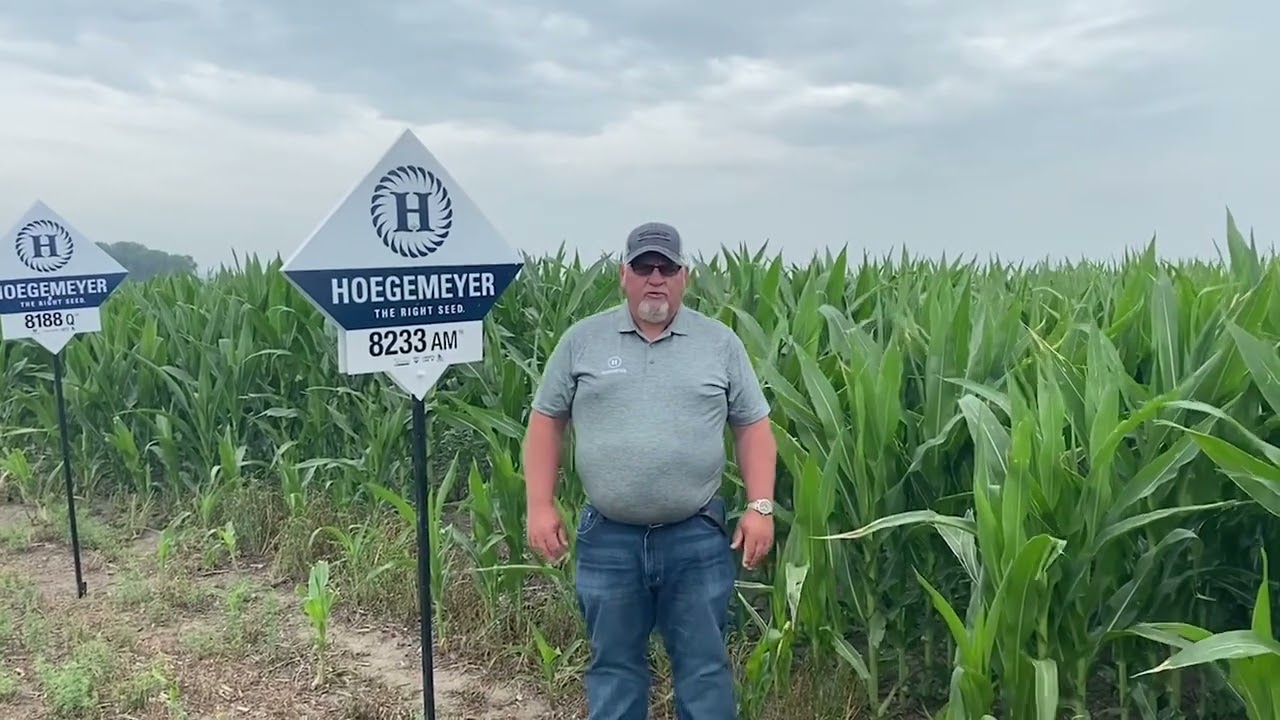 Regional Product Advantage: Hoegemeyer Brand 8233AM