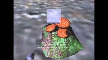 Urho3D SoftBody Demo