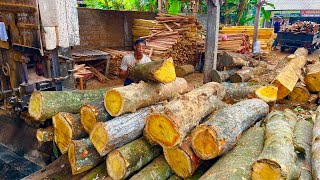 Download Lagu Increasingly Rare! Jackfruit wood is the most expensive wood this week. MP3 Download Lagu Increasingly Rare! Jackfruit wood is the most expensive wood this week. MP3