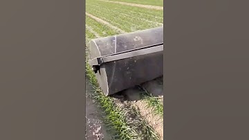 unique tool for leveling plantation land #shorts