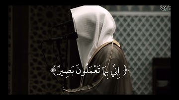 القارئ ناصر القطامي || وَلَقَدْ آتَيْنَا دَاوُودَ مِنَّا فَضْلًا  || راحة نفسية