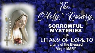 THE HOLY ROSARY - SORROWFUL MYSTERIES WITH LITANY OF LORETO screenshot 2