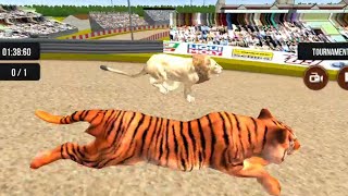 Wild Lion Racing Fever : Animal Race PART #1 | Lion Hunt Horse Game Android gameplay #2022 screenshot 5