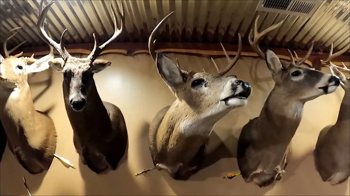 Touring Michael and Kathy Perry's Trophy Room!