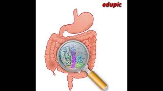 आत क रग जञन