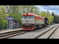 Bardotka 749 250-7 s Velkým Bejčkem 423.041 do Lužné 9.5.2019