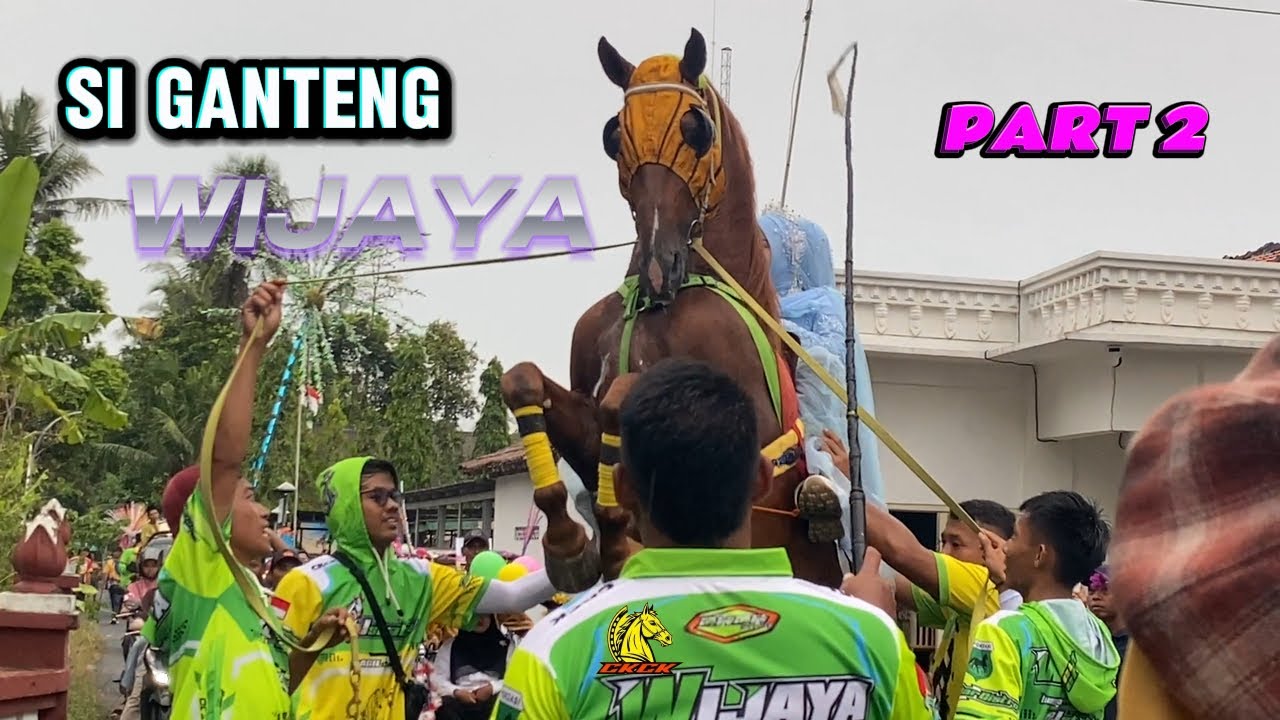 PART 2 || KUDA DI NGOMBOL