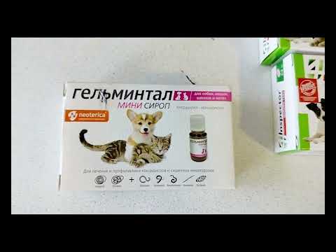 Дегельминтизация щенка. Чем обработать щенка от глистов?