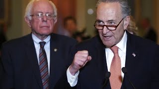 Watch four experts debate Schumer and Sanders' plan to limit stock buybacks