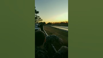 1967 LS swapped Firebird VS 2018 Coyote