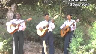 Video thumbnail of "TRIO HERALDOS DEL REY - ESTE MUNDO LLEGA A SU FIN"