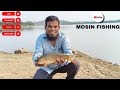 MOSIN FISHING ❤️ #fishing #birdfish #fish #1millionviews #carpfishing #lake #fisherman #fishinglife