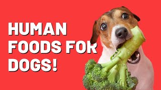 Human Foods that Dogs can eat too! by Paws&Claws 287 views 1 year ago 4 minutes, 23 seconds