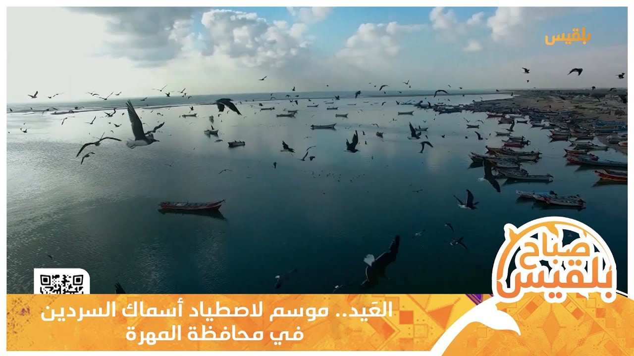 المهرة..العَيد موسم لاصطياد أسماك السردين في محافظة المهرة | تقرير ياسر محمد