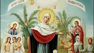 Церковный календарь 6 ноября 2022. Икона Божией Матери «Всех скорбящих Радость» (1688)