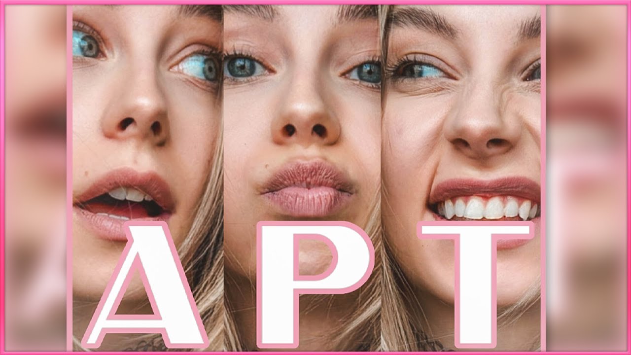 JenNyan feat. Chillyman  ♪ APT [Cover Song ]