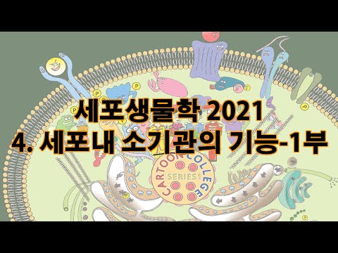 2021 세포생물학 chapt 4 세포내 소기관의 기능 1부