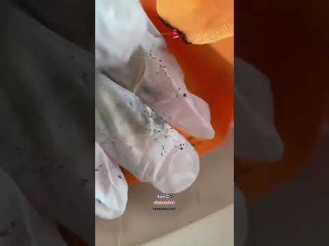 كيف اعرف الحرير الاصلي من العماري للأقمشة مجمع الشرق ١ بوابه ٧