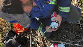 Blastingblowing Up A Beaver Dam