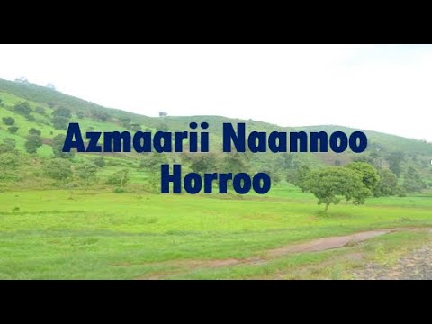 Azmaarii Naannoo Horroo Guduru